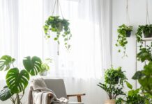 “선인장도 죽이는 똥손이라며?” 식물 살인마 탈출하고 ‘방구석 숲’ 만드는 4가지 법칙 햇살이 가득한 거실에 몬스테라와 다양한 반려 식물이 조화롭게 배치된 플랜테리어 인테리어 모습