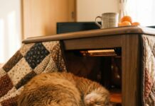 고양이 겨울 나기 필수 가이드: 추위 타는 반려묘를 위한 실내 적정 온도와 주의사항 4가지 따뜻한 전기장판 위에서 몸을 웅크리고 자는 고양이, 고양이 겨울 나기와 보온 관리를 상징하는 이미지