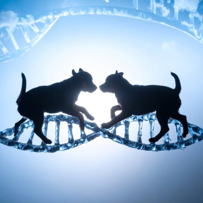 DNA 구조 위를 달리는 강아지 실루엣, 생명 공학 기술과 반려견 복제를 상징하는 이미지