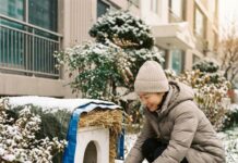 영하의 한파, 길고양이 겨울집 설치 시 꼭 지켜야 할 에티켓 겨울철 화단 구석에 깔끔하게 설치된 길고양이 겨울집을 점검하는 다정한 모습