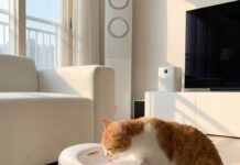 고양이 음수량, 이제 AI가 관리한다? 2026년형 스마트 급수기 TOP 3 비교 미래지향적인 디자인의 AI 고양이 스마트 급수기와 물을 마시는 고양이의 모습